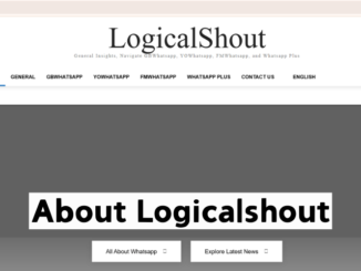 About Logicalshout