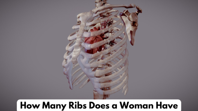 How Many Ribs Does a Woman Have