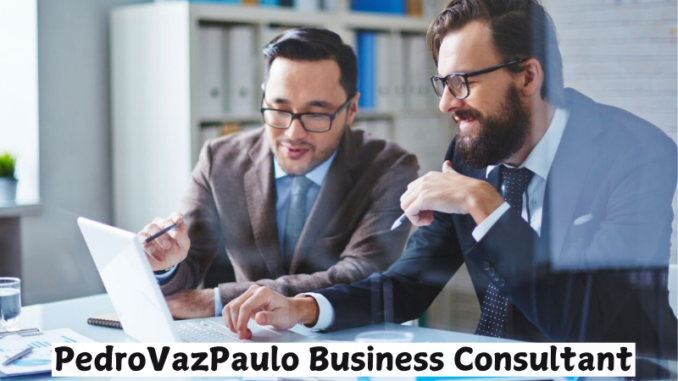 PedroVazPaulo Business Consultant