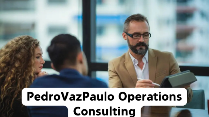 PedroVazPaulo Operations Consulting