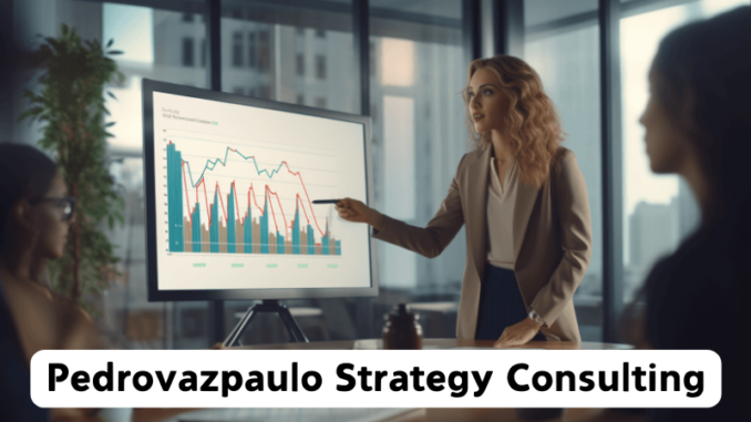 Pedrovazpaulo Strategy Consulting