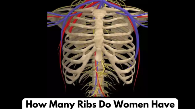 How Many Ribs Do Women Have