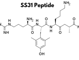 SS31 Peptide